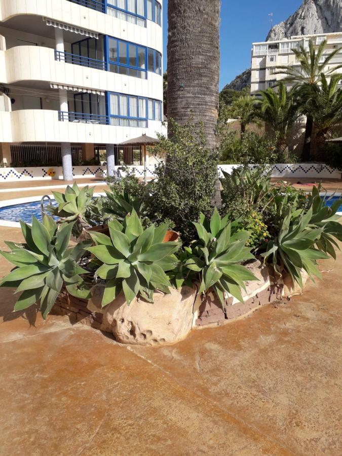 Appartement Equipe Calpe Espagne, 4 Couchages, Terrasse, Piscines, Climatisation, Garage, Wifi Gratuits Exterior foto